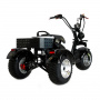Электротрицикл Ikingi M6 PRO Trike