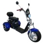 Электротрицикл Ikingi X12 Pro Trike (M12 Pro Trike) (Синий)