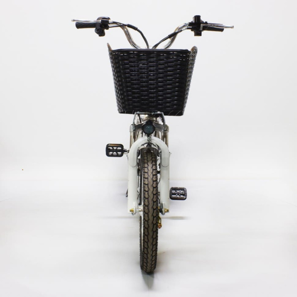 Электровелосипед GreenCamel Транк-18-60 (R18 350W 60V, 13Ah, Алюм) Серебристый