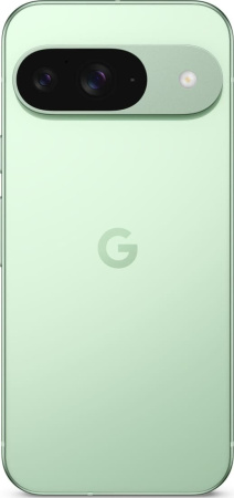 Смартфон Google Pixel 9 12/256GB Wintergreen