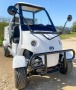 Гольфкар GreenCamel A2C (2+Cargo 2500W 225/40-10' литые)