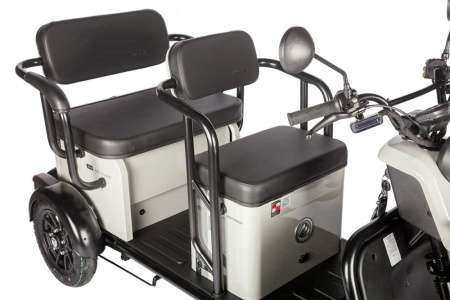Электротрицикл Wanshida UM+ 60V 1000Вт (Зеленый-3099)