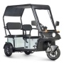Электротрицикл Wanshida NIPLA 570 60V 1000Вт (Зеленый-3089)