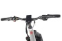 Электровелосипед Eltreco BigCat Dual Next (Черный матовый-3178)