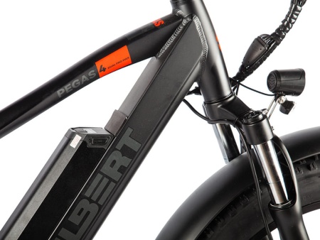 Электровелосипед Eltreco Gelbert Pegas 4 DUAL PRO MAX (Черный-2965)
