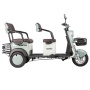 Электротрицикл Rutrike Gelbert Beta 48V/60V 800Вт (Зелено-белый-3030)