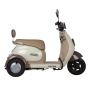 Электротрицикл Rutrike Gelbert Ogma 48V/60V 650Вт (Бело-коричневый-3052)