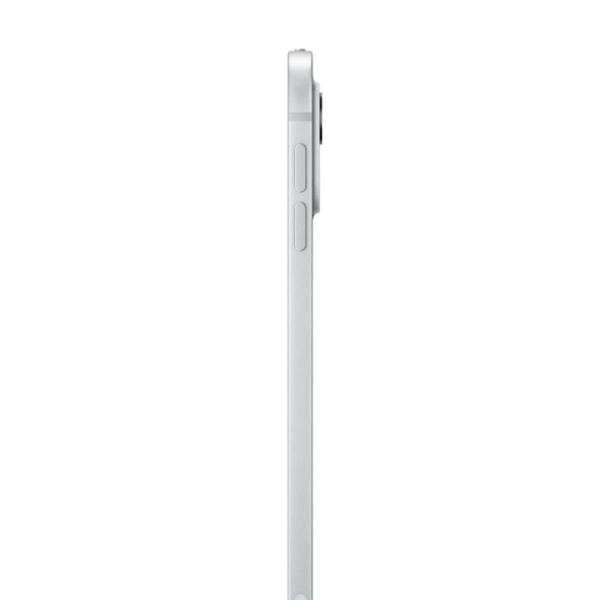 Apple iPad Pro 11" (M4, 2024) Wi-Fi + Cellular 1Tb Silver, серебристый