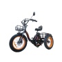 Электровелосипед Kugoo Trike — точная фотография 1