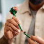 LEGO Botanicals 10328