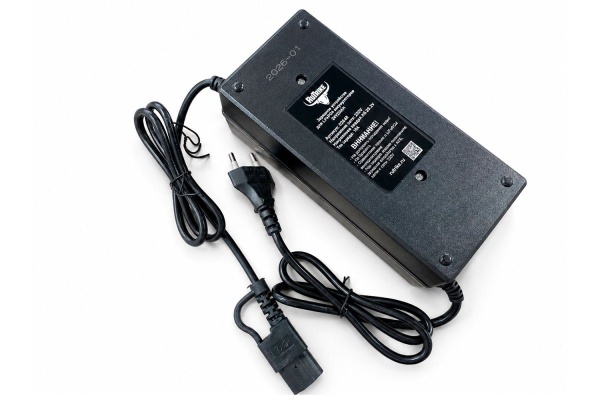 Зарядное устройство Rutrike для LiFePo4 аккумуляторов 60V32A/H (73V 5A) C13