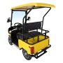 Гольфкар GreenCamel A2 ECO (2 seats 800W R8, пониженная) Желтый