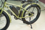 Электровелосипед VOLTECO BIGCAT DUAL (Green-1947)