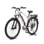 Электровелосипед White Siberia CAMRY ALLROAD 500W (матовый серебристый)