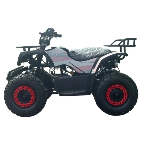 Бензиновый квадроцикл Ikingi K6 50CC (детский)