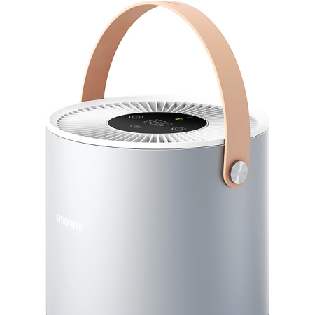 Очиститель воздуха Smartmi Air Purifier P1 (ZMKQJHQP12) серебро