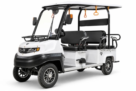 Гольфкар мини Rutrike Venus 60V 1500Вт (Белый-3333)