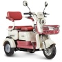 Электротрицикл Rutrike Gelbert Mercury 48V/60V 650Вт (Бело-красный-3050)