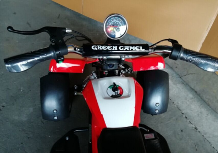 Квадроцикл GreenCamel Gobi K100 (24V 350W R4 Цепной привод) Красно-белый