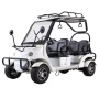 Гольфкар GreenCamel A40 (4 seats 2500W 225/40-10' литые) Белый