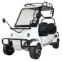 Гольфкар GreenCamel A40 (4 seats 2500W 225/40-10' литые) Белый