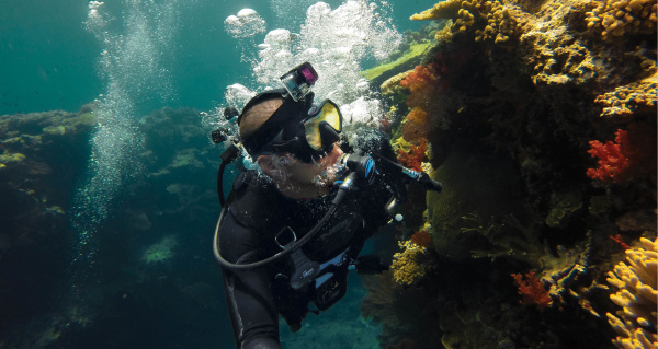 Magenta Dive Filter for Dive Housing - Пурпурный фильтр для дайв бокса