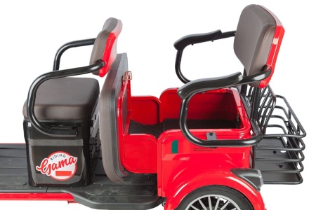 Электротрицикл Rutrike Gelbert Kappa 48V/60V 650Вт (Красный-3044)