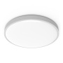 Потолочная лампа Yeelight C2001C550 Ceiling Light 550мм YLXD037