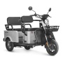 Электротрицикл Wanshida LC-F150 60V 1000Вт (Серый-3079)