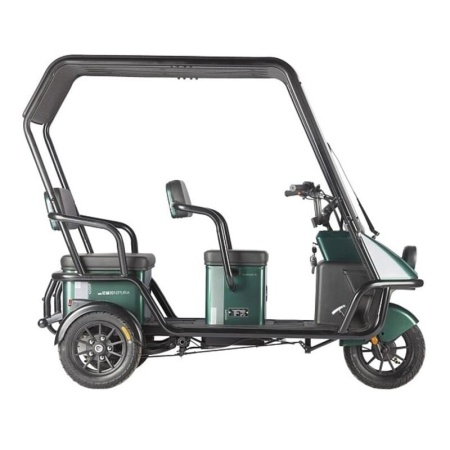 Электротрицикл Wanshida NIPLA 500 60V 1000Вт (Черно-зеленый-3084)