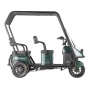 Электротрицикл Wanshida NIPLA 500 60V 1000Вт (Черно-зеленый-3084)