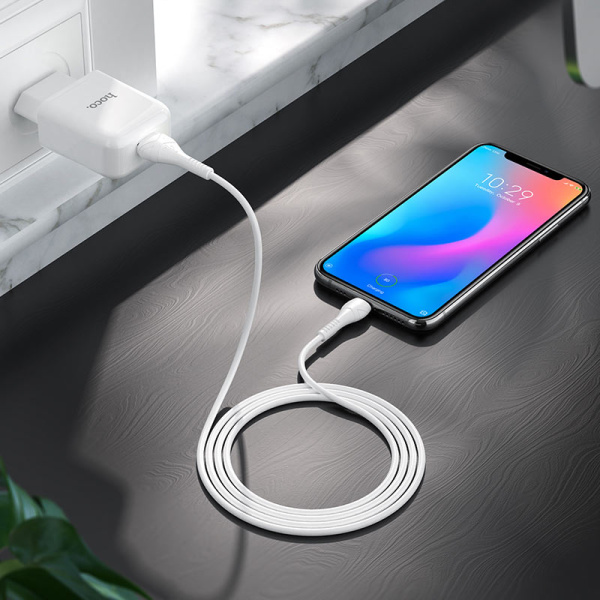 Зарядное устройство HOCO N2 Vigour single USB + Кабель USB-Type-C, 2A (Белый)