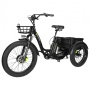 Электровелосипед Syccyba Trike 2.0 48V/20Ah