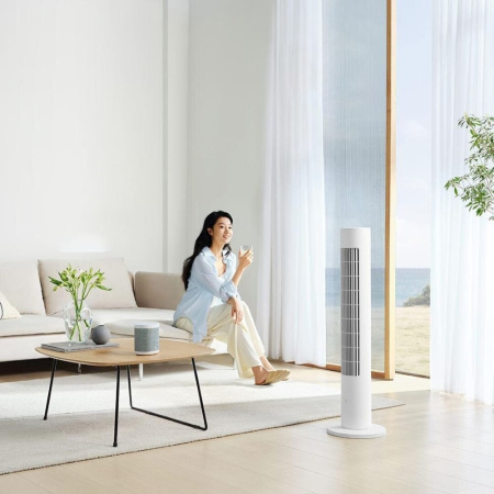 Напольный вентилятор Mijia DC Inverter Tower Fan (BPTS02DM)