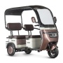 Электротрицикл Rutrike Gelbert Sarin 48V/60V 1000Вт (Коричнево-белый-3054)