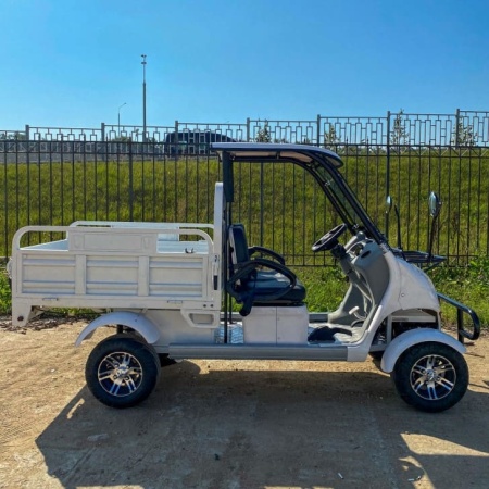 Гольфкар GreenCamel A2C (2+Cargo 2500W 225/40-10' литые)