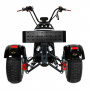 Электротрицикл Ikingi M6 PRO Trike