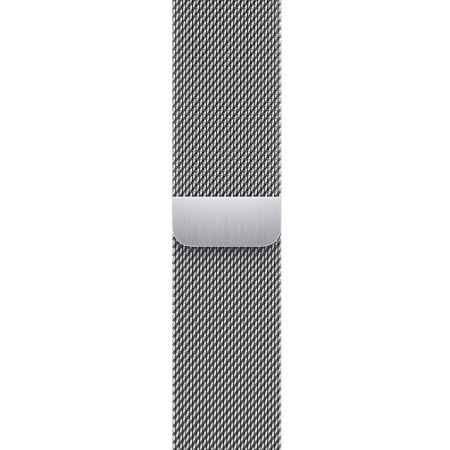 Apple Watch Series 9, 41 mm, корпус из нержавеющей стали серебристого цвета, миланский сетчатый ремешок серебристого цвета