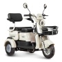 Электротрицикл Rutrike Gelbert Mercury 48V/60V 650Вт (Черный-3047)