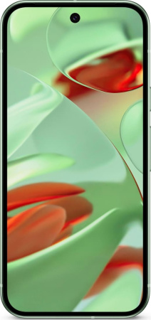 Смартфон Google Pixel 9 12/256GB Wintergreen