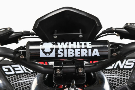 Квадроцикл White Siberia SNEG R 1500W 48V