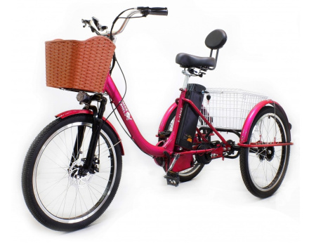Электровелосипед GreenCamel Трайк-B (R24 500W 48V 15Ah) задний привод (Красный)
