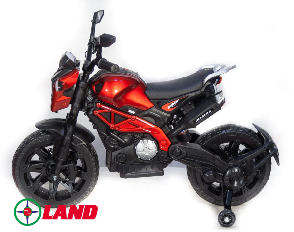 Детский электромотоцикл Moto sport (DLS01) YEG2763 красный краска