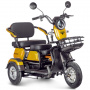 Электротрицикл Rutrike Бумеранг (Золотистый-3243)