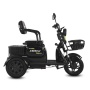 Электротрицикл Siberton Sibtrike S1