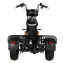 Электротрицикл Ikingi X1 PRO Trike