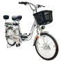 Электровелосипед GreenCamel Транк-20 V2 (R20 250W10Ah, Алюм, редукторный)