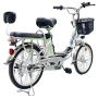 Электровелосипед GreenCamel Транк-20 V2 (R20 250W10Ah, Алюм, редукторный)