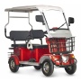 Электротрицикл Rutrike Gelbert Hara 48V/60V 600Вт (Красный-3041)