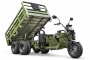 Грузовой электротрицикл Rutrike Профи 2200 60V1800*2W (Зеленый-3298)